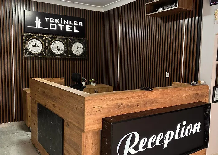 Hotel Tekinler *